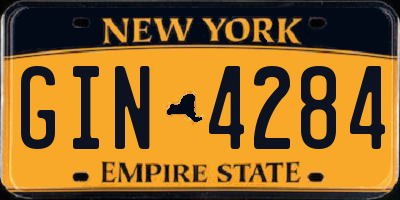 NY license plate GIN4284