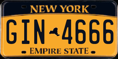 NY license plate GIN4666