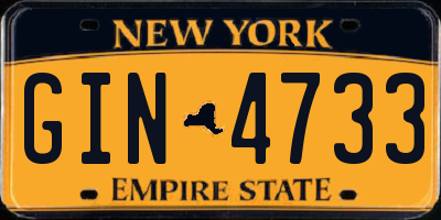 NY license plate GIN4733