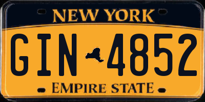 NY license plate GIN4852