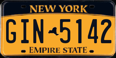 NY license plate GIN5142