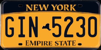 NY license plate GIN5230