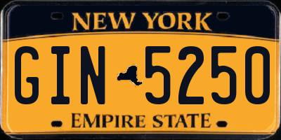 NY license plate GIN5250