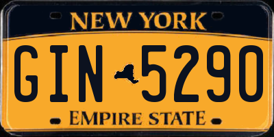 NY license plate GIN5290