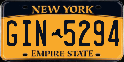 NY license plate GIN5294