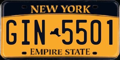 NY license plate GIN5501