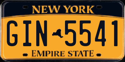 NY license plate GIN5541