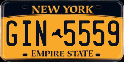 NY license plate GIN5559