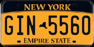 NY license plate GIN5560