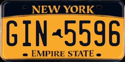 NY license plate GIN5596
