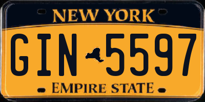 NY license plate GIN5597