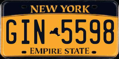 NY license plate GIN5598