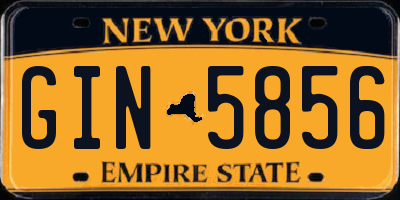 NY license plate GIN5856
