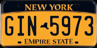 NY license plate GIN5973