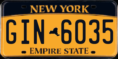 NY license plate GIN6035
