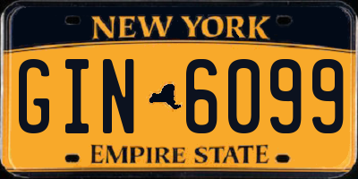 NY license plate GIN6099