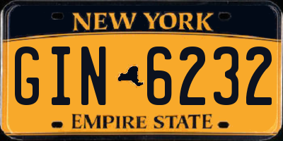 NY license plate GIN6232