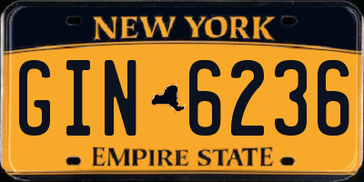 NY license plate GIN6236