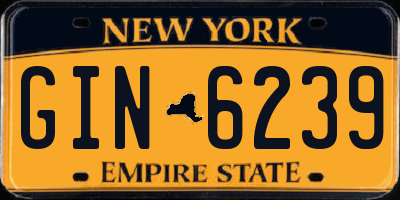 NY license plate GIN6239