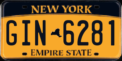 NY license plate GIN6281