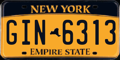 NY license plate GIN6313