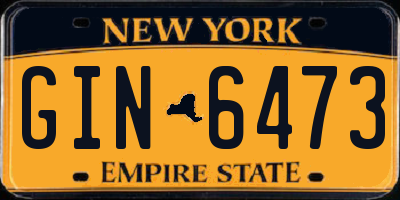 NY license plate GIN6473