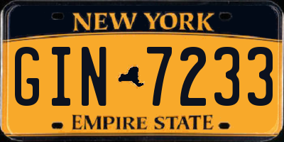 NY license plate GIN7233