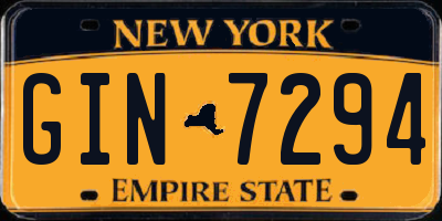 NY license plate GIN7294