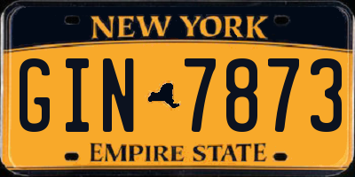 NY license plate GIN7873