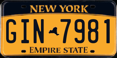 NY license plate GIN7981
