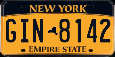 NY license plate GIN8142
