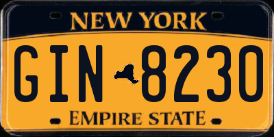 NY license plate GIN8230
