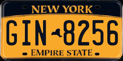 NY license plate GIN8256