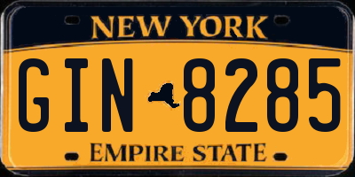 NY license plate GIN8285
