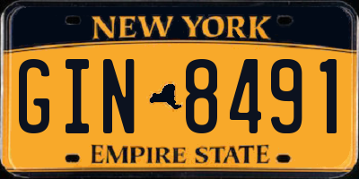NY license plate GIN8491
