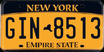 NY license plate GIN8513
