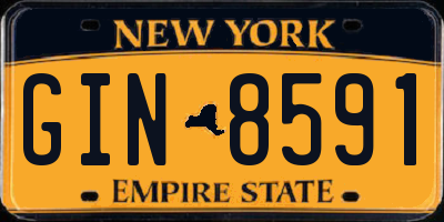 NY license plate GIN8591