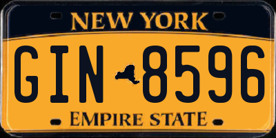 NY license plate GIN8596