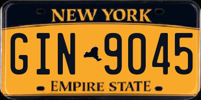 NY license plate GIN9045