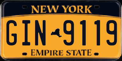 NY license plate GIN9119
