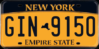 NY license plate GIN9150
