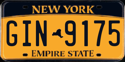 NY license plate GIN9175