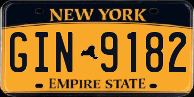 NY license plate GIN9182