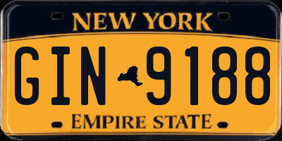 NY license plate GIN9188