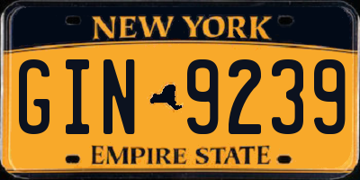 NY license plate GIN9239