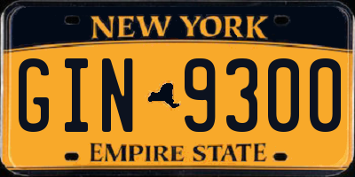 NY license plate GIN9300