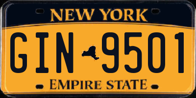 NY license plate GIN9501