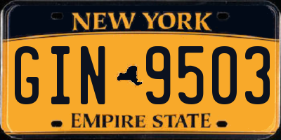 NY license plate GIN9503