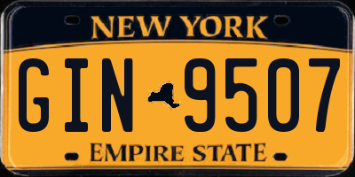 NY license plate GIN9507