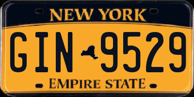 NY license plate GIN9529